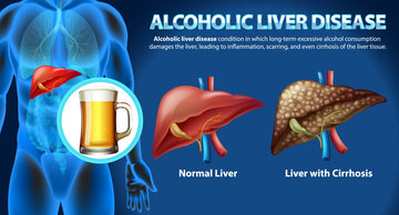 The complete guide to alcohol and liver disease: what to know in 2025