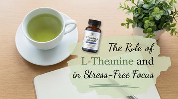The Role of L-Theanine and Alpha GPC in Stress-Free Focus
