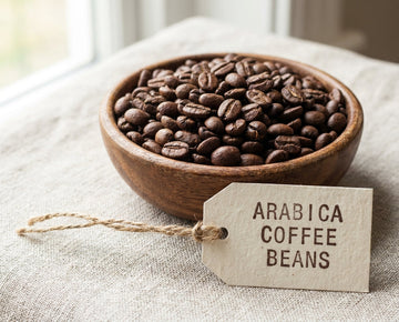 Why Arabica Coffee is the Best Base for Nootropic Blends