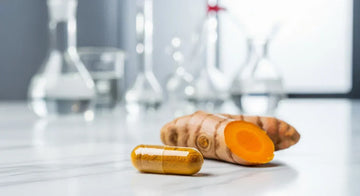A high-quality turmeric supplement capsule filled with golden curcumin powder sits next to a raw turmeric root in a clean, scientific laboratory, illustrating the importance of purity testing.