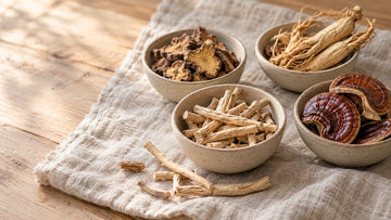 Ceramic bowls of dried herbal roots, whole ginseng roots and reishi mushroom slices on a linen cloth in soft daylight