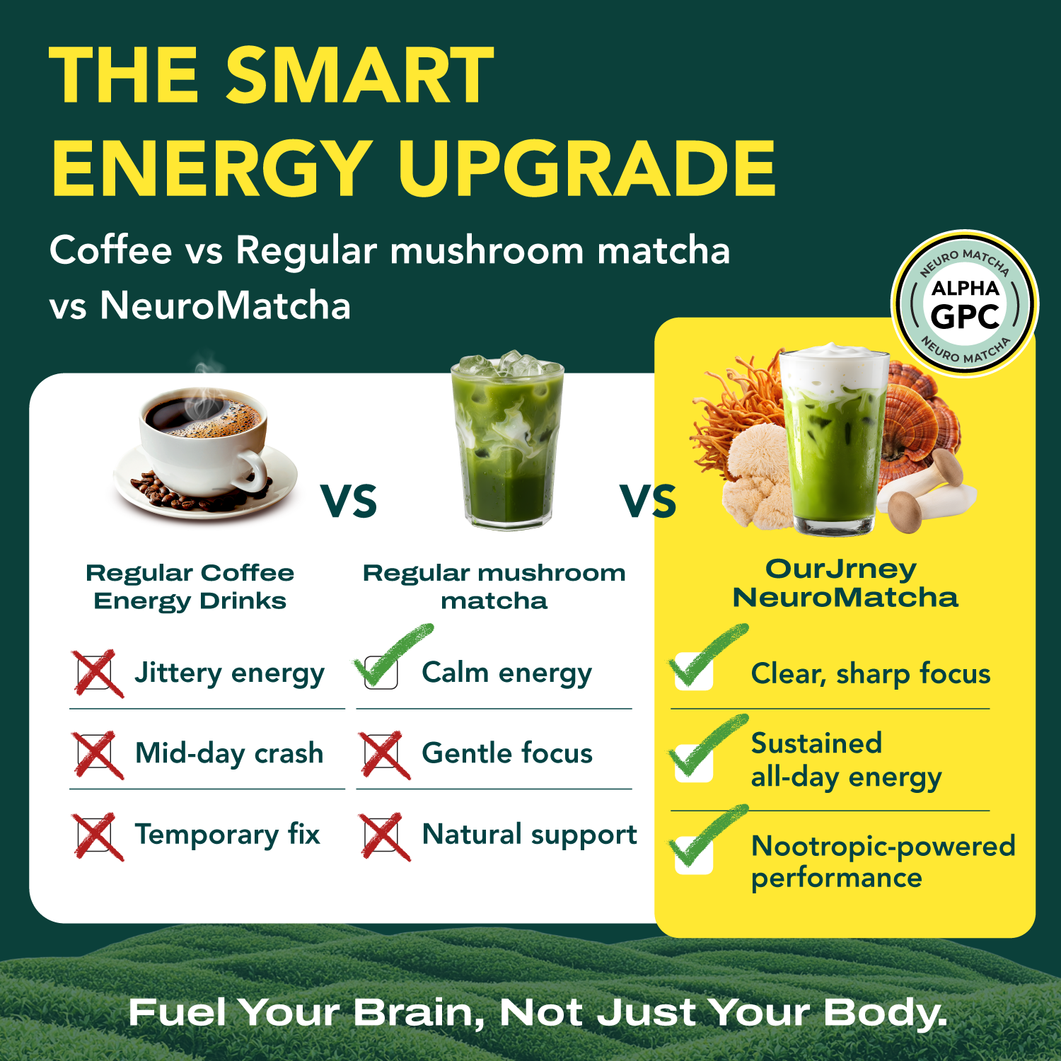 NeuroMatcha Mushroom Matcha with Alpha GPC - OurJrney