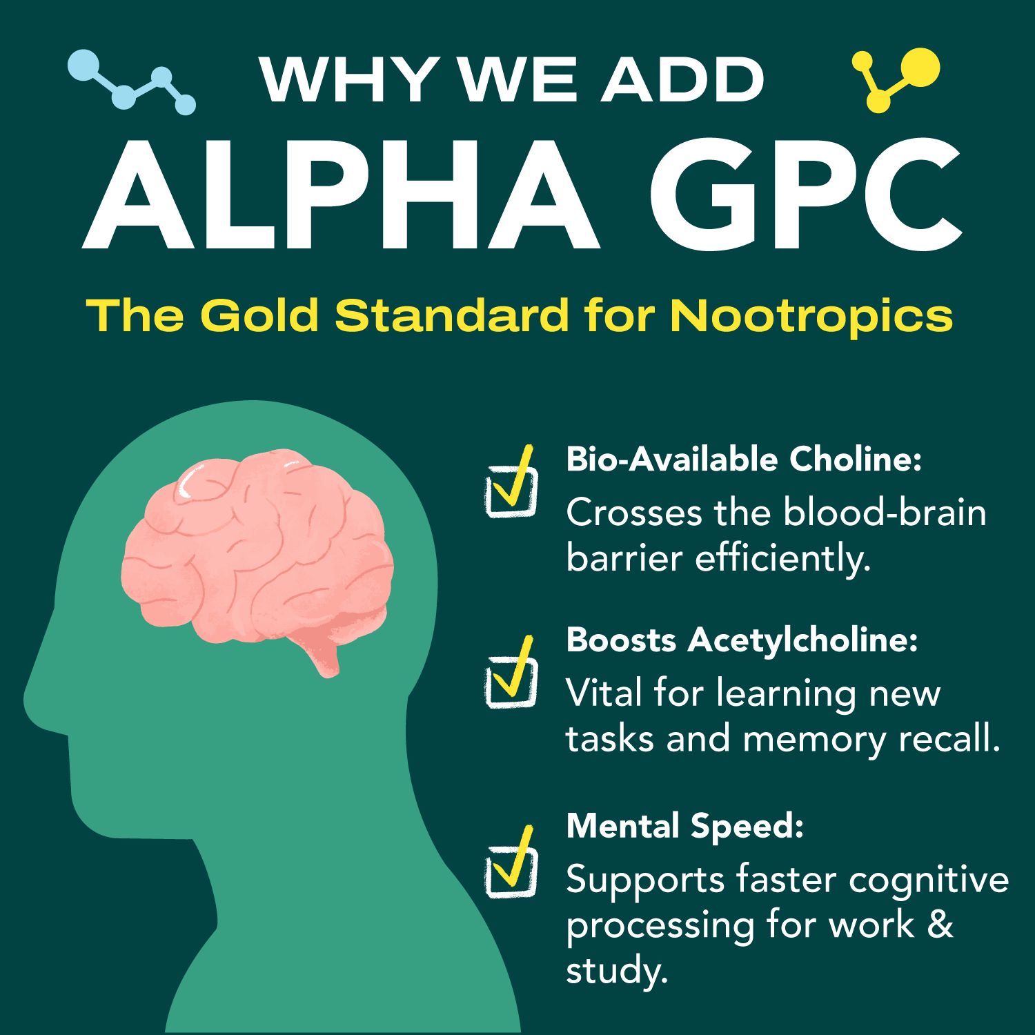 NeuroMatcha Mushroom Matcha with Alpha GPC - OurJrney
