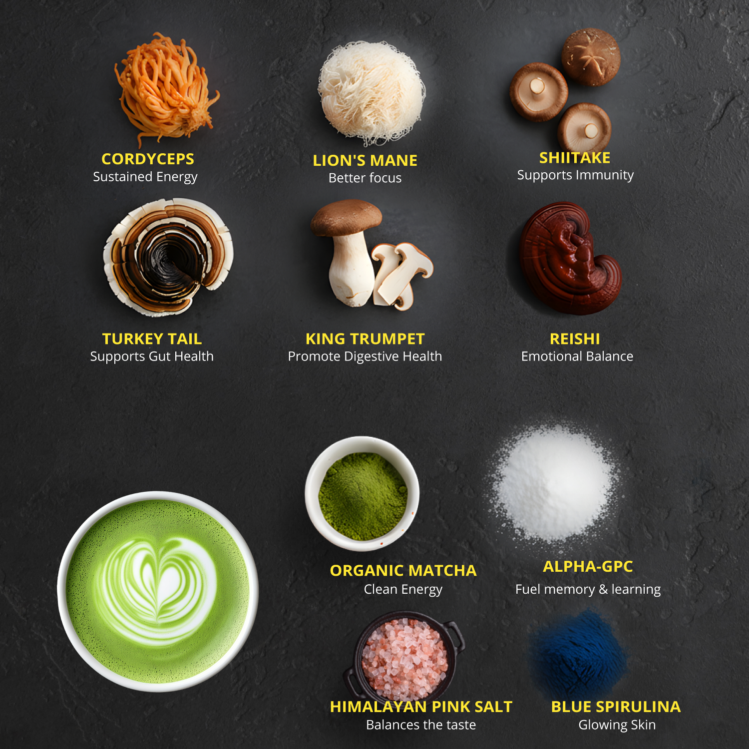 NeuroMatcha Mushroom Matcha with Alpha GPC - OurJrney