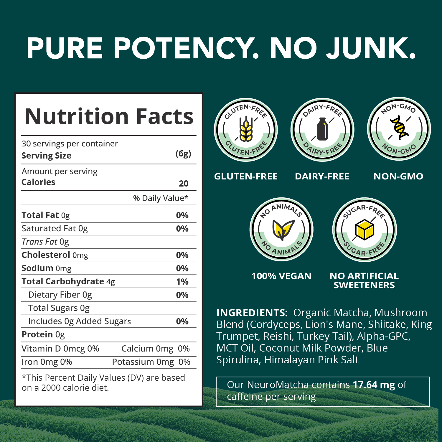 NeuroMatcha Mushroom Matcha with Alpha GPC - OurJrney